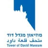meizam-migdal-david